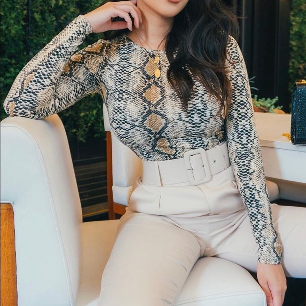 Brown Snake Print Mesh Long Sleeve Top